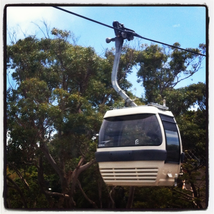 Sydney taronga zoo