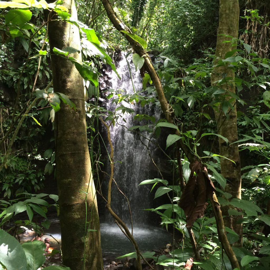 wasps and waterfalls