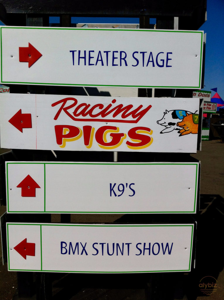 Deep fried oreos and racing pigs