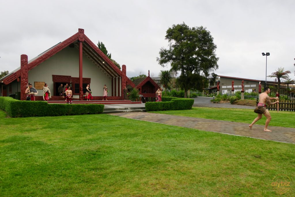 Māori cultural experience